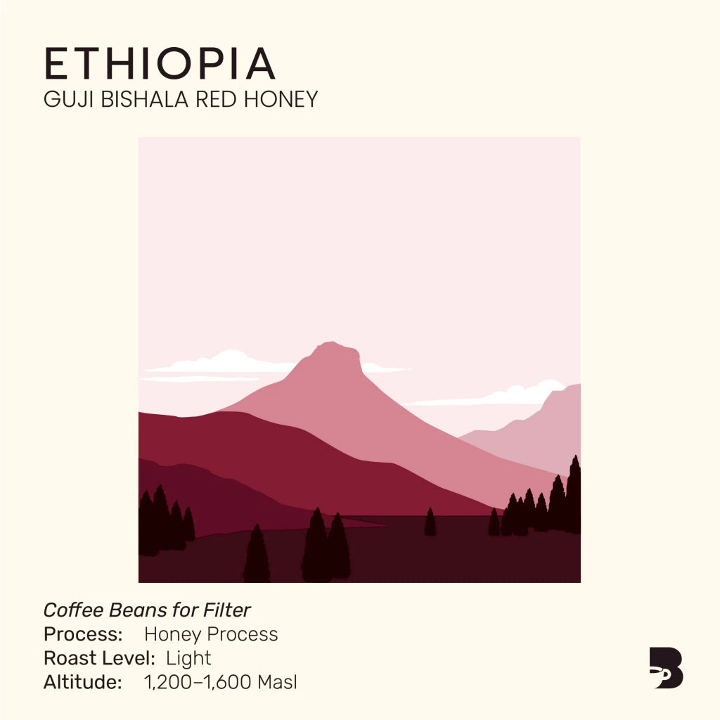Ethiopia Guji - The Baristro 100g